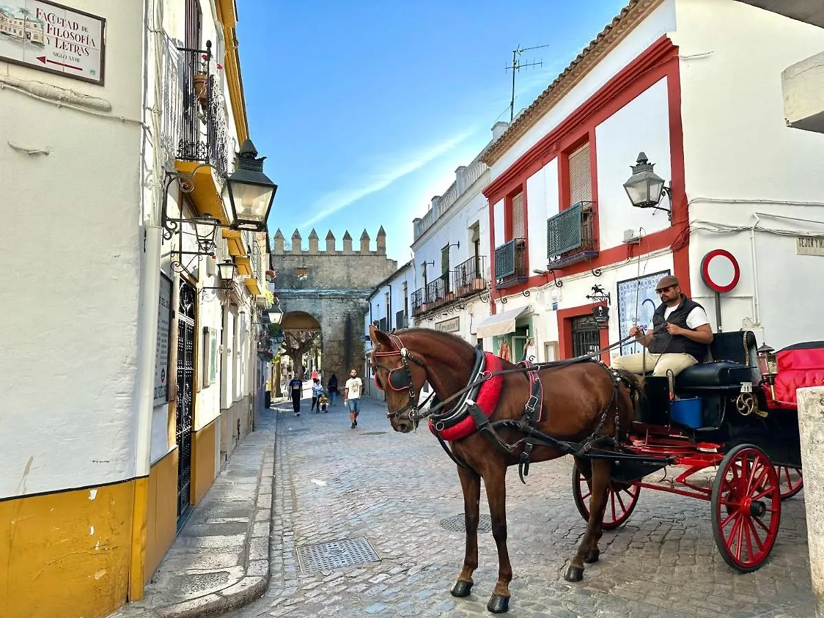 Kinahouse Apartment Cordoba Spain